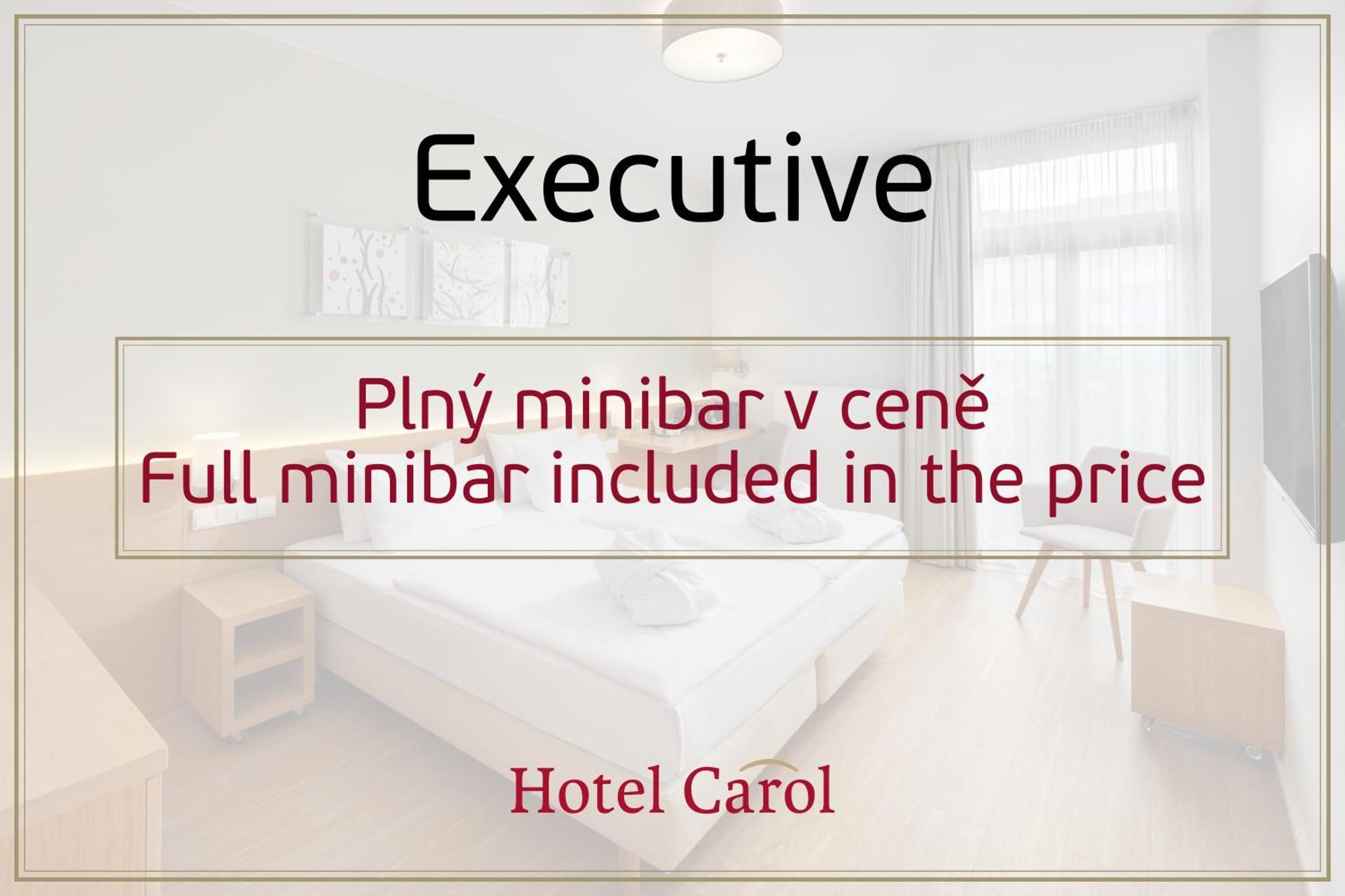 Hotel Carol Prague Room photo