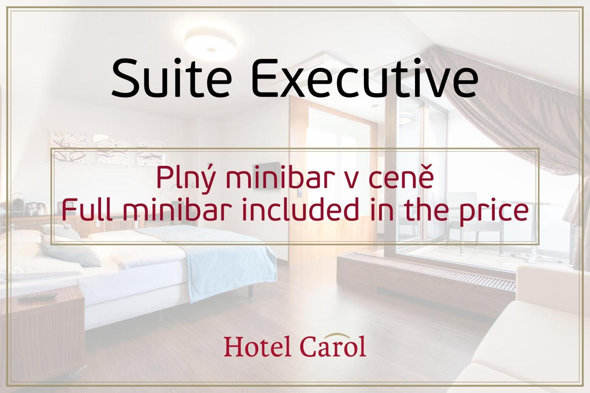 Hotel Carol Prague Room photo